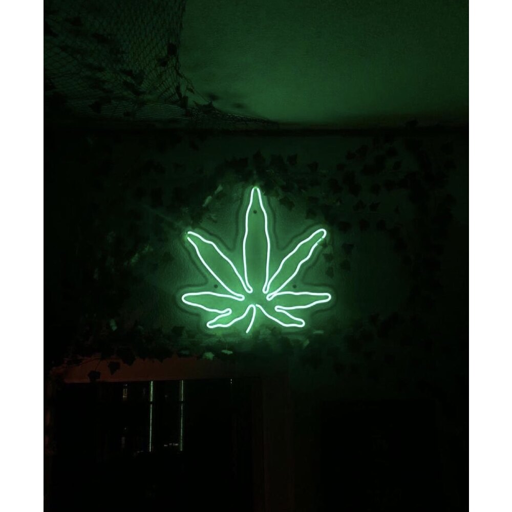 KNVR Neon Işıklı Şeffaf Pleksi