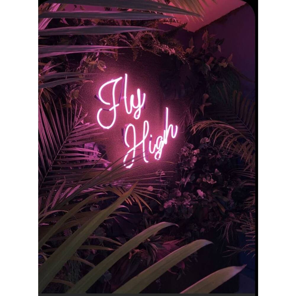 Fly High Neon Işıklı Şeffaf Pleksi