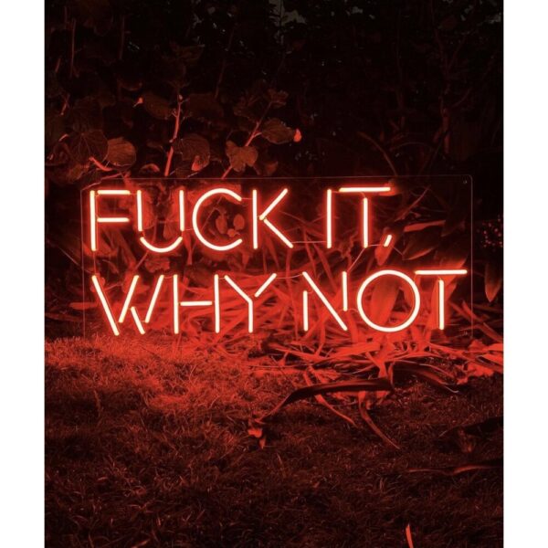 Fuck It Why Not Neon Işıklı Şeffaf Pleksi