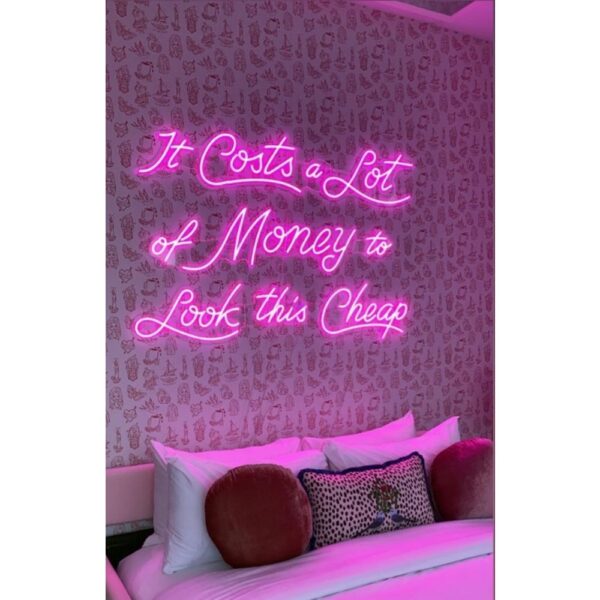 It Cost a lot of money to look this cheap Neon Işıklı Şeffaf...