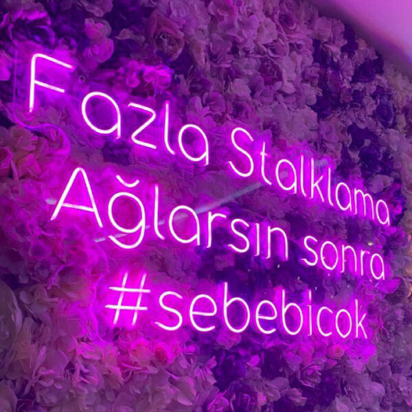 Fazla Stalklama Ağlarsın Sonra #sebebicok Neon Led Tabela