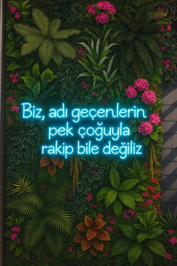 Biz, adı geçenlerin çoğuyla rakip bile değiliz Neon Led Tabela