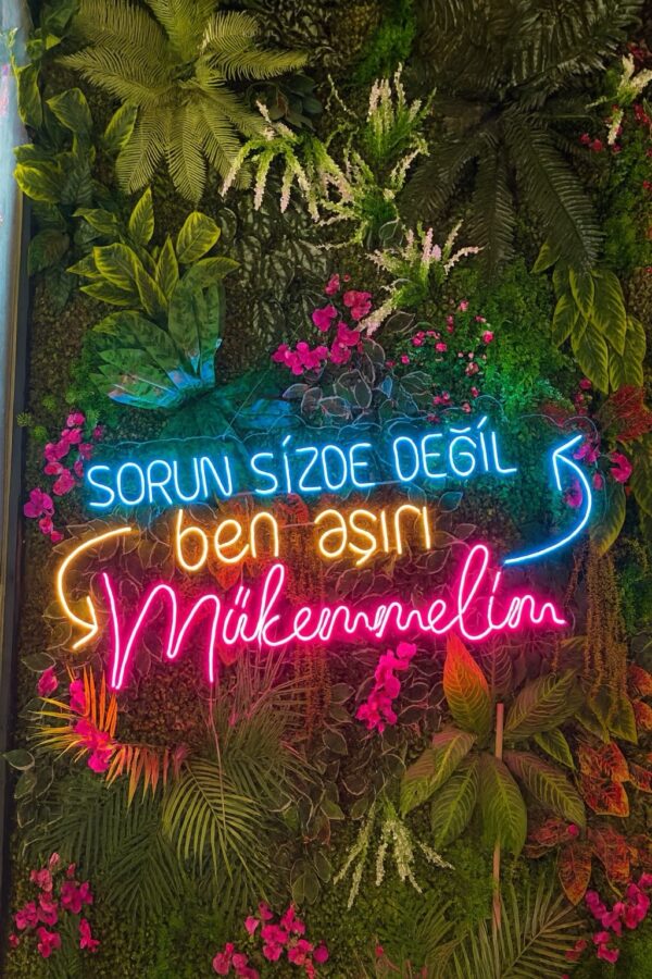 Sorun Sizde Değil Ben Aşırı Mükemmelim Neon Led Tabela