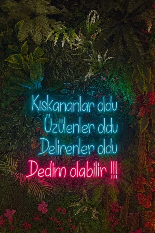 Kıskananlar oldu, üzülenler oldu, delirenler oldu, dedim olabilir!!! Neon Led Tabela